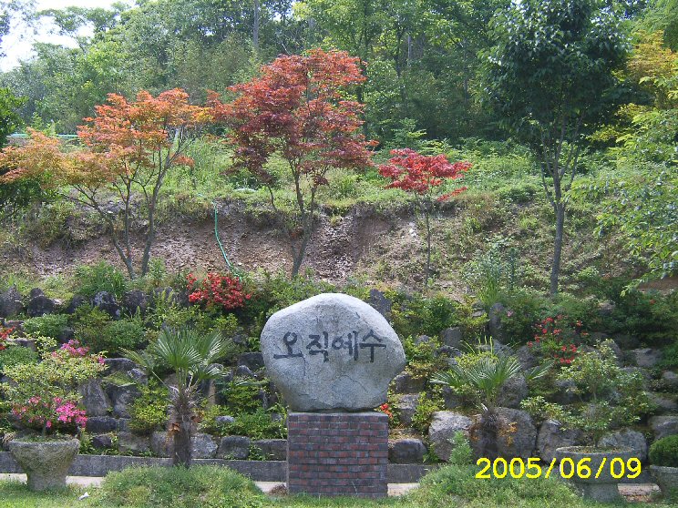 1 240.jpg